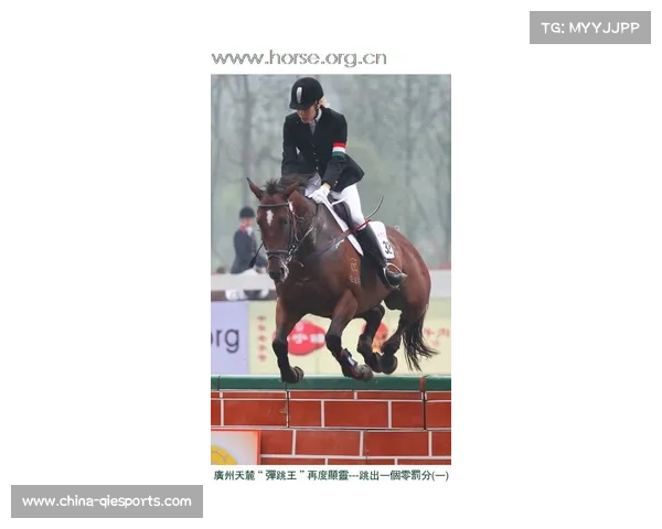 世界现代五项锦标赛:马术障碍赛意外频发,德国黑马夺金 世界现代五项锦标赛:马术障碍赛意外频发,德国黑马夺金